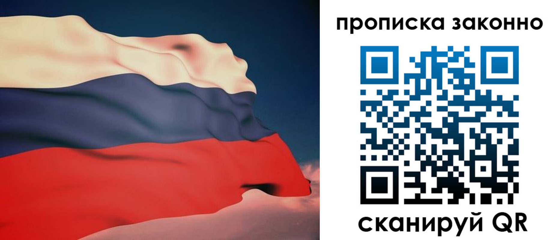 прописка 2025 в Купино