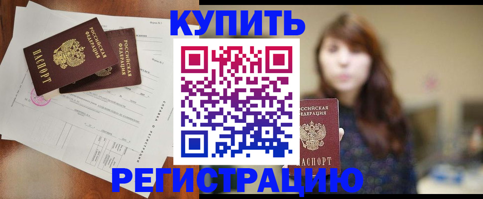 прописка поиск в Купино